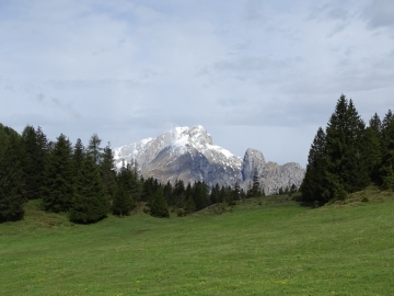 2016-05-14 monte Ghigozzo Parve (19)