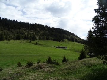 2016-05-14 monte Ghigozzo Parve (25)