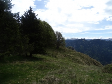 2016-05-14 monte Ghigozzo Parve (33)