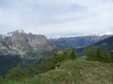 2016-05-14 monte Ghigozzo Parve (34)