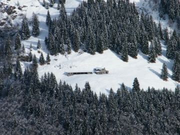 2009-05-12 Malga Cardetto 010