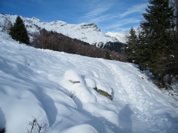 2009-05-12 Malga Cardetto 031