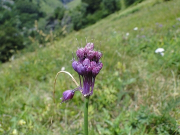 2010-08-10 Lago Avert 060