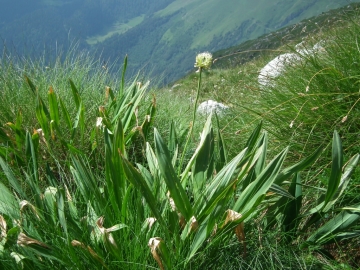 2011-07-03 vai piane 069