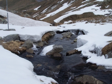 03 passo Frerone, val Braone, 3-giu-2006 (11)