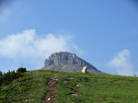 2017-06-02 sulle tre cime del Bondone (107)