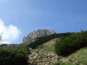 2017-06-02 sulle tre cime del Bondone (119)