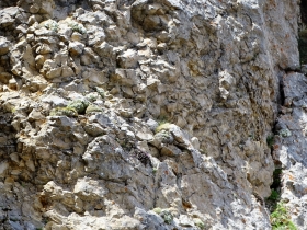 2017-06-02 sulle tre cime del Bondone (139)