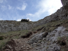 2017-06-02 sulle tre cime del Bondone (149)