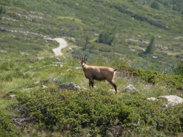 pietra rossa 21_22-07-07 144