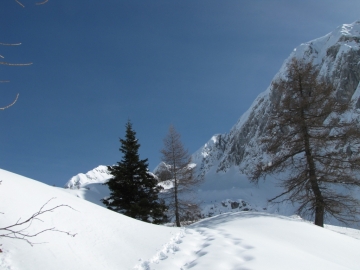 25 2010-02-27 val sedornia 010