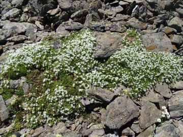 2024-08-10-cima-Gaviola-50