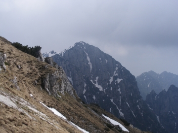 2009-05-17 Monte Tombea 040