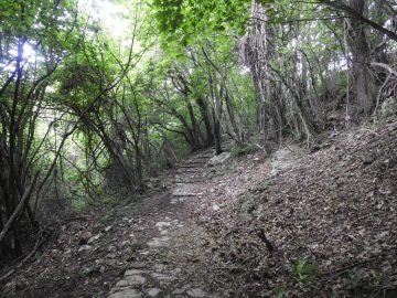 2024-05-29-monte-Creo-da-Parzanica-16