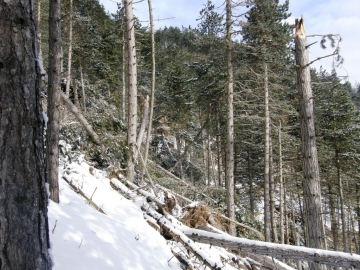 10 2008-12-28 rifugio magnolini (5)