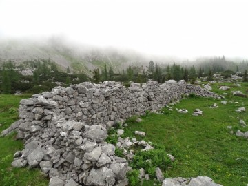 2024-06-16-Camino-fiori-149