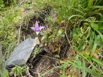 2010-09-12 Monte Pradella (2626mt.) 065