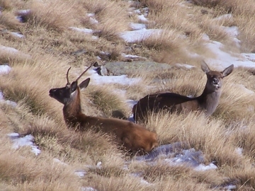 val grande 01-nov-2007 006a