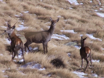 val grande 01-nov-2007 007