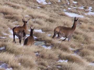 val grande 01-nov-2007 008