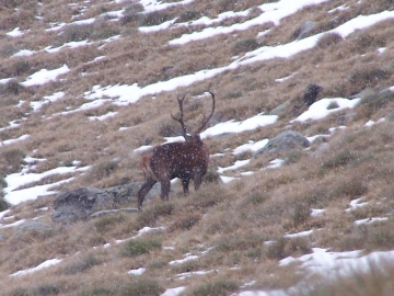 val grande 2006-10-07 (1)