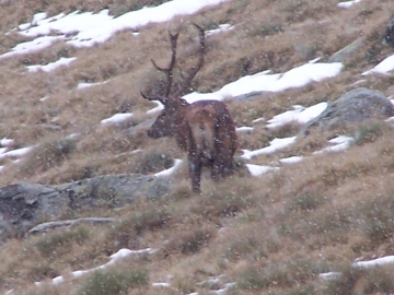 val grande 2006-10-07 (2)