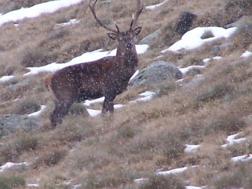 val grande 2006-10-07 (3)