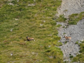 2013-09-21 monte Telenek 010