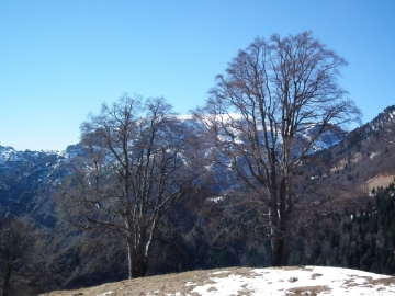 2011-03-20 passo Cocca 009