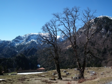 2011-03-20 passo Cocca 010