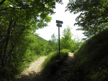 2024-05-26-monte-Filaressa-209