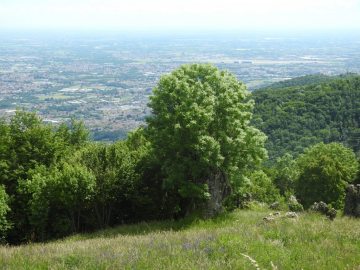 2024-05-26-monte-Filaressa-213