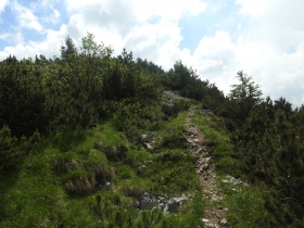 2018-0616 Pasubio mte Testo 029