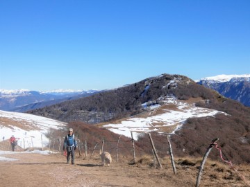 2020-01-12-monte-Vignola-78