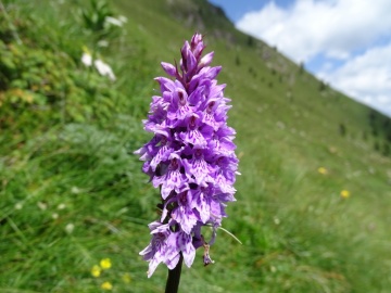 2024-07-20-passo-Triomen-55