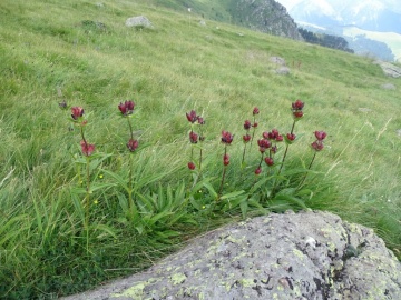 2024-07-20-passo-Triomen-72