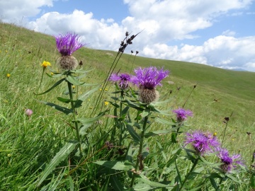 2024-07-20-passo-Triomen-74