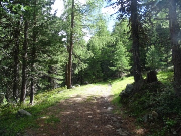 2024-07-04-rifugio-Serristori-15