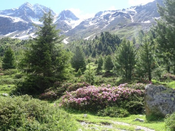 2024-07-04-rifugio-Serristori-19