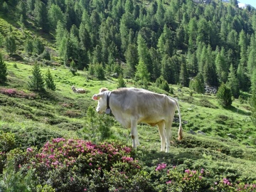 2024-07-04-rifugio-Serristori-20