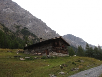 02 2009-09-12_13 val Zebru V Alpini 042