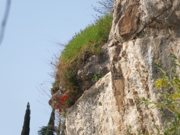 2014-04-02  salita alla Pieve Tremosine 098