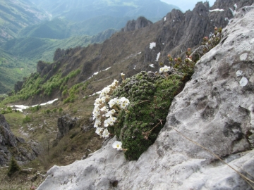 2010-05-26 monte alben 016