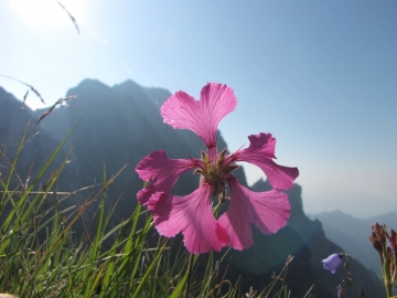 2009-07-24 cima Tombea 077