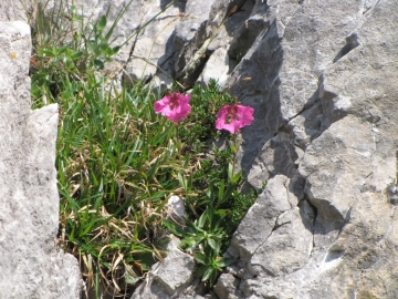 2009-07-24 cima Tombea 086