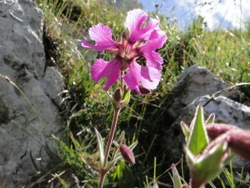 2011-07-24 Cime Alben 125