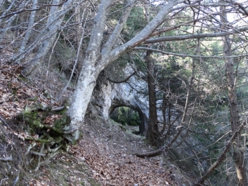 2014-04-16  passo e cima Fobia Tremosine 010