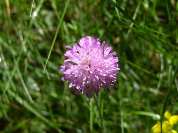 pietra rossa 21_22-07-07 205