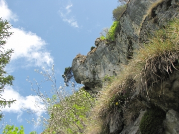 2009-05-17 cime Tombea 091