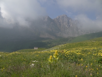 30 2015-06-02 Monte Elto da Schilpario 009